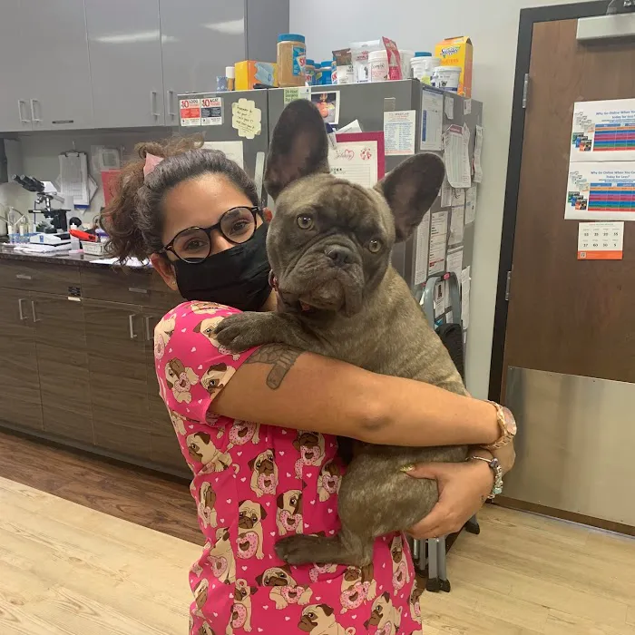 Seven Oaks Pet Hospital Wesley Chapel 4