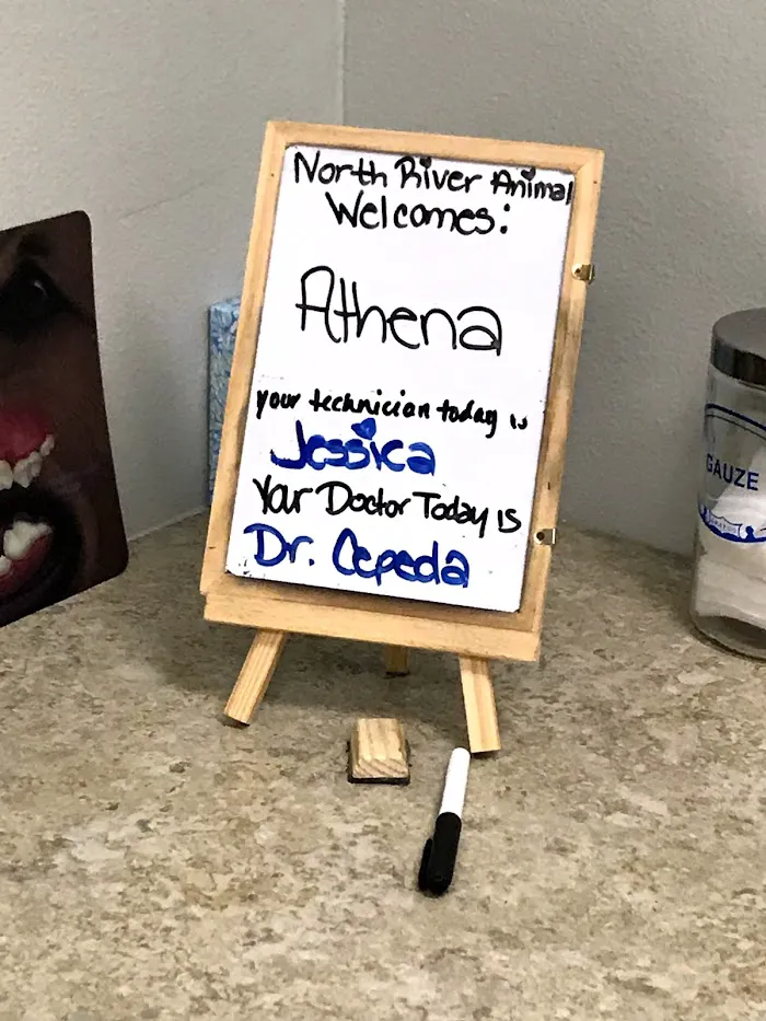 North River Animal Hospital 6