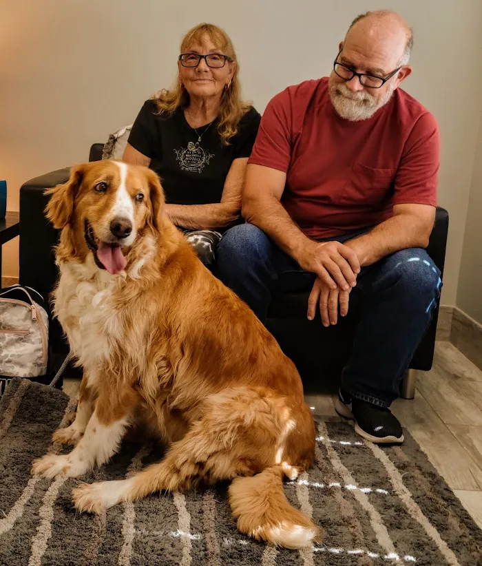 North River Animal Hospital 1