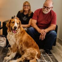 North River Animal Hospital ico