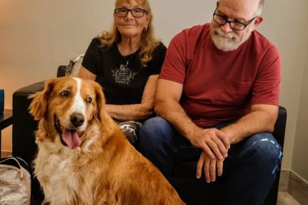North River Animal Hospital