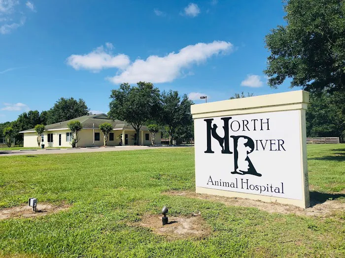 North River Animal Hospital 2