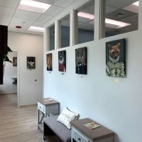 Cheval Animal Hospital ico