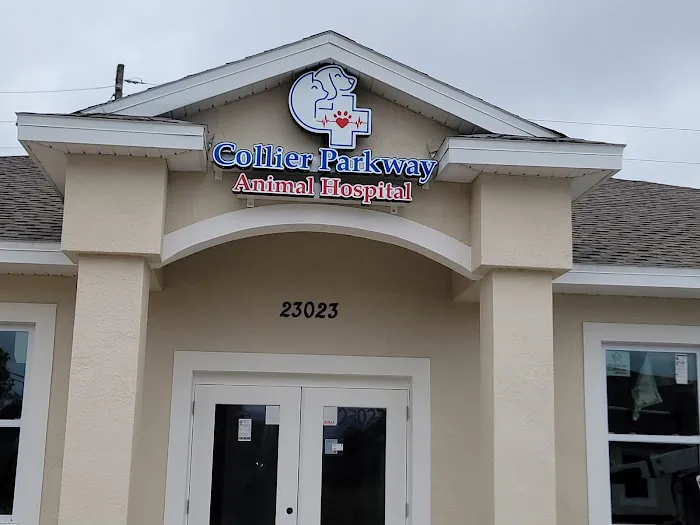 Collier Parkway Animal Hospital 12