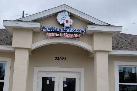 Collier Parkway Animal Hospital