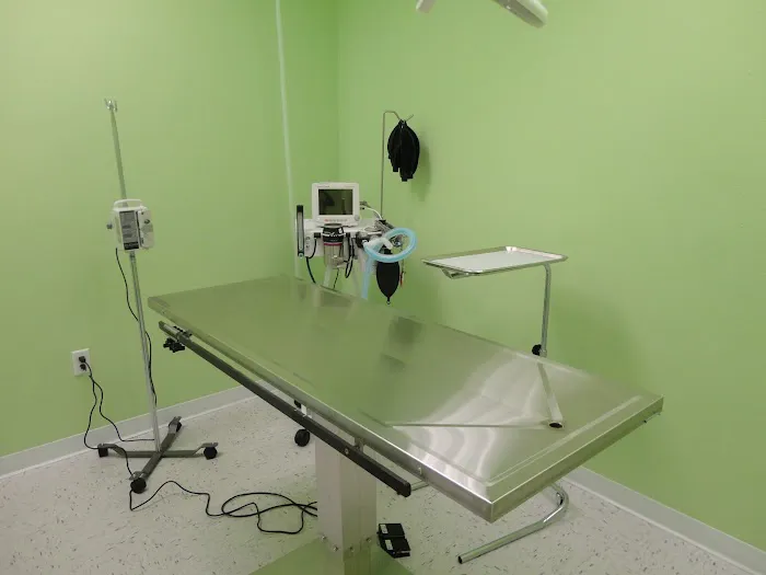 Pet Point Animal Hospital 12
