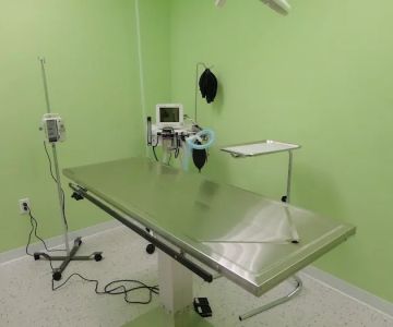 Pet Point Animal Hospital