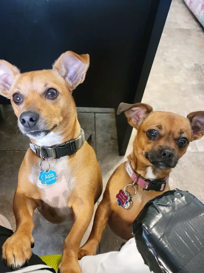Banfield Pet Hospital 5