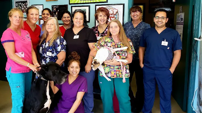 Circle of Life Animal Hospital 12