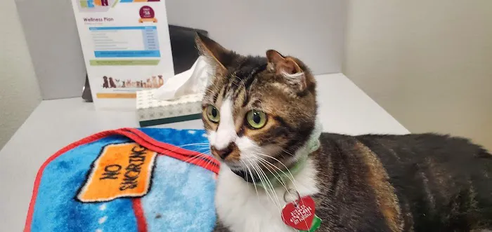 East Orlando Animal Hospital 5