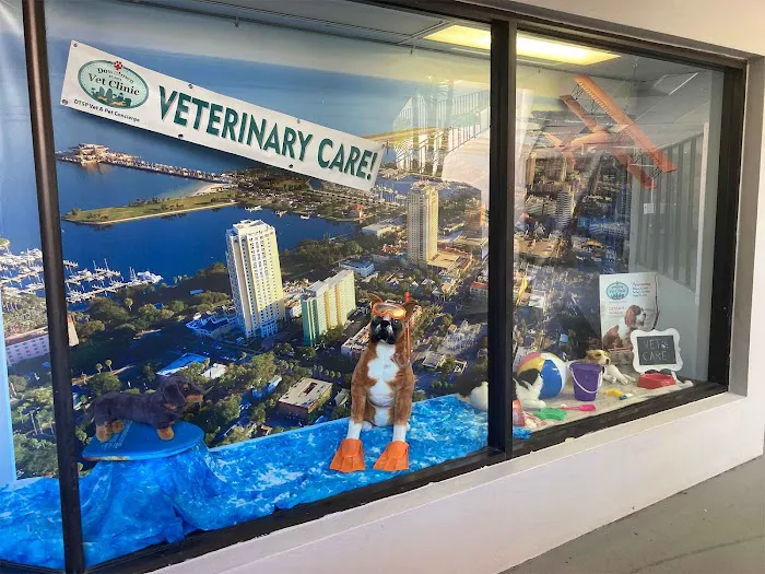 Downtown St. Pete Vet Clinic 12