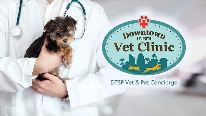 Downtown St. Pete Vet Clinic 12