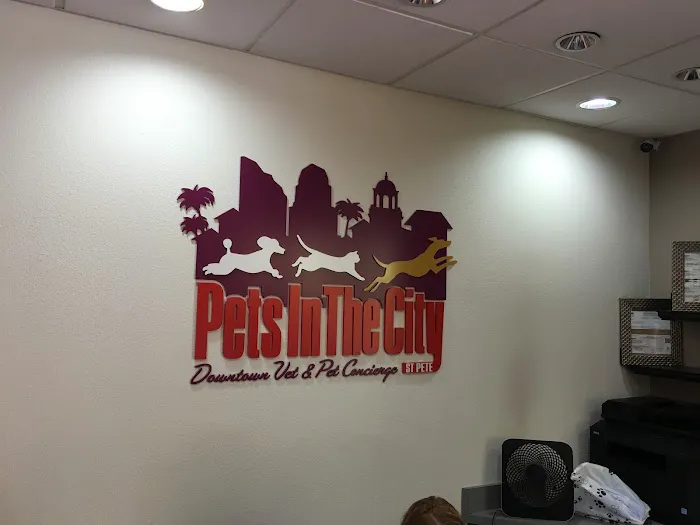 Downtown St. Pete Vet Clinic 12