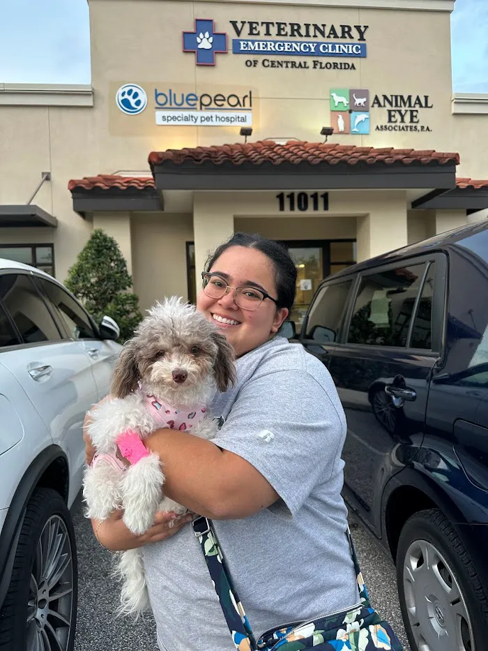 Veterinary Emergency Clinic of Central Florida | Orlando, FL 1