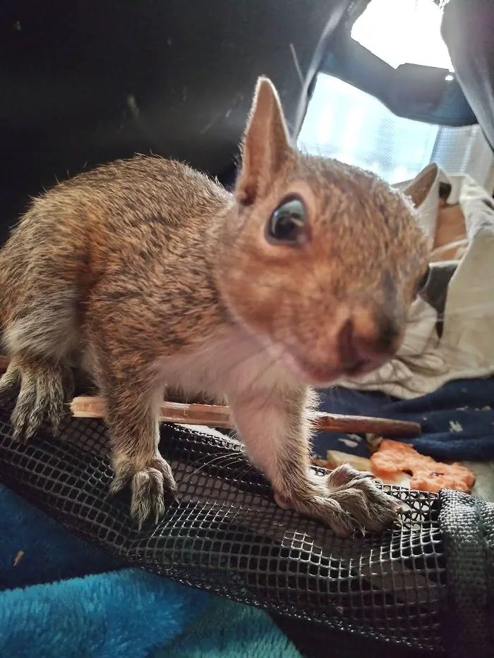 Animal Medical Hospital 4