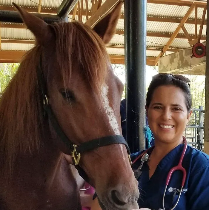 Gentle Farewells - Mobile Vet In-Home Euthanasia Service 7