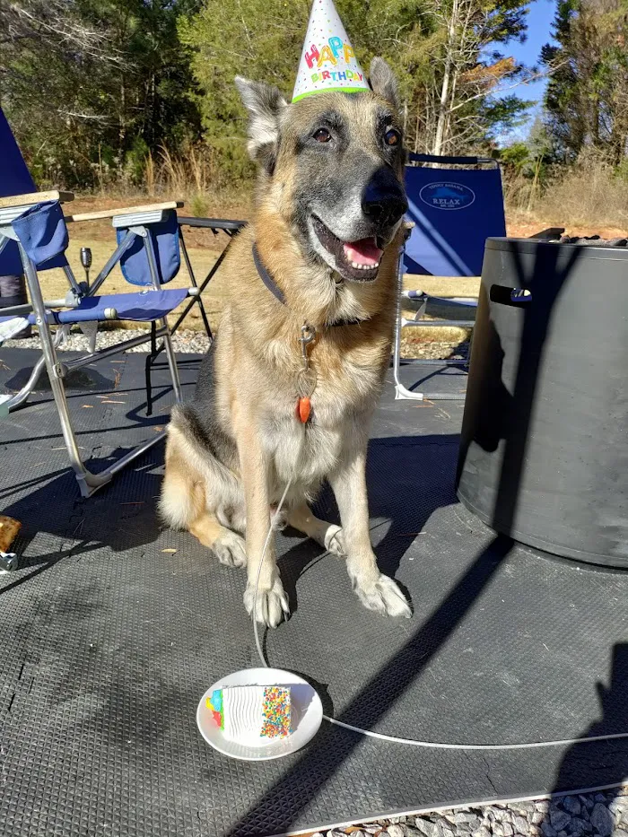 Gentle Farewells - Mobile Vet In-Home Euthanasia Service 9