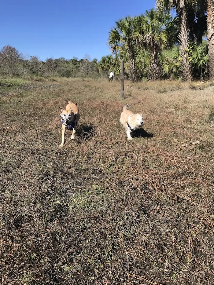 Gentle Farewells - Mobile Vet In-Home Euthanasia Service 3