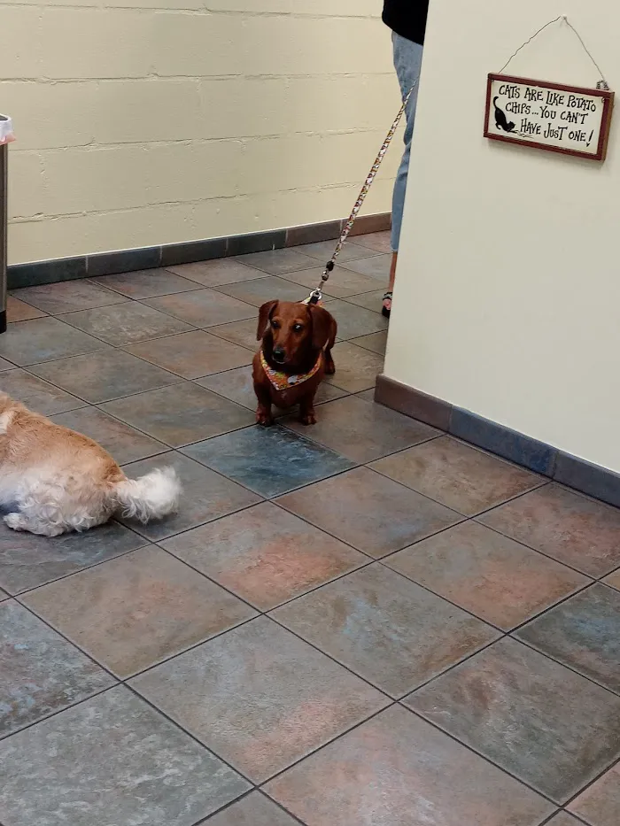 Pet Pal Veterinary Clinic 2