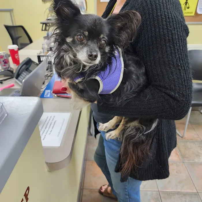 Pet Pal Veterinary Clinic 4