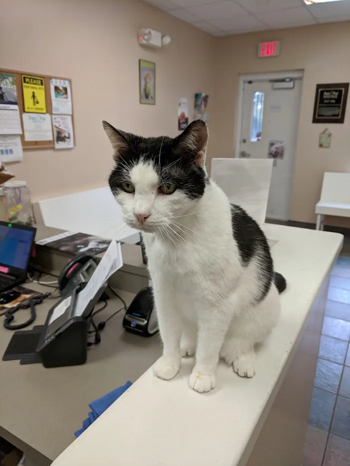 Pet Pal Veterinary Clinic 3
