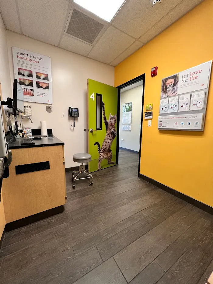 Banfield Pet Hospital 4