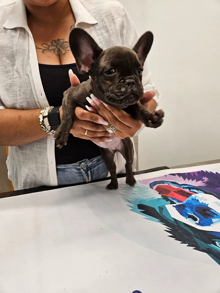 PetSmart Veterinary Services - Orlando (Fashion Square Mall) 3