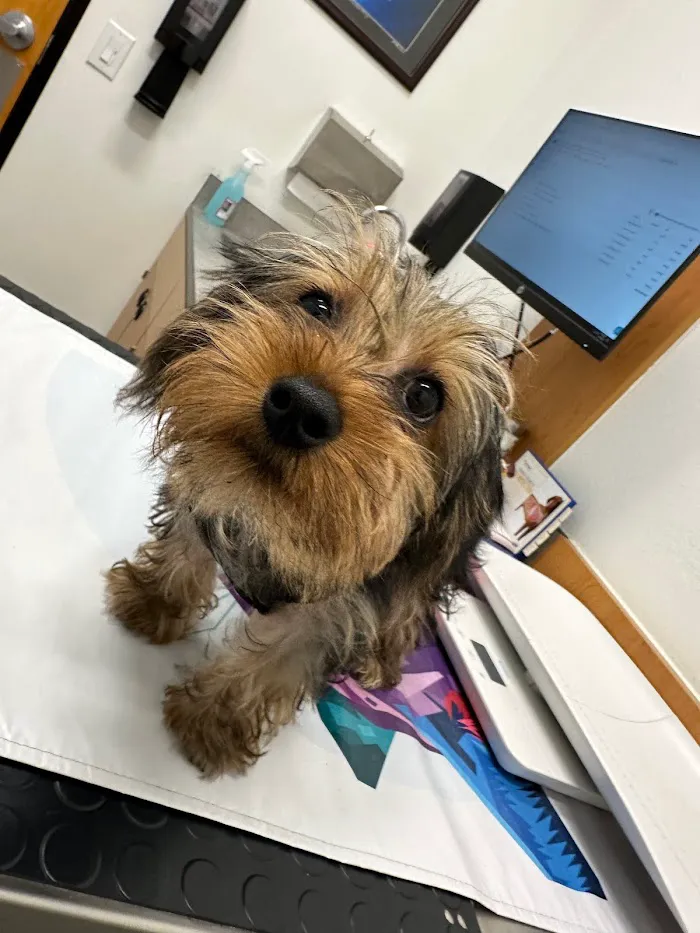 PetSmart Veterinary Services - Orlando (Fashion Square Mall) 1