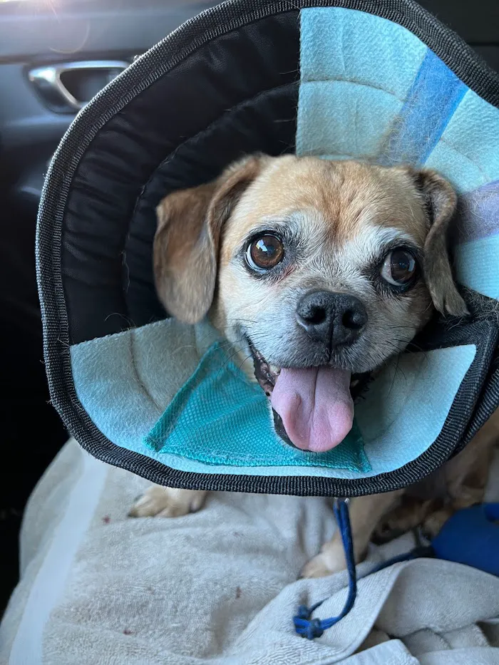 PetSmart Veterinary Services - Orlando (Fashion Square Mall) 9
