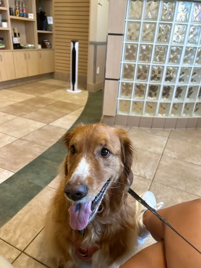 Waterford Lakes Animal Hospital 12