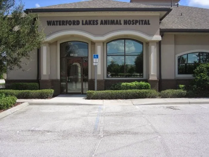 Waterford Lakes Animal Hospital 12