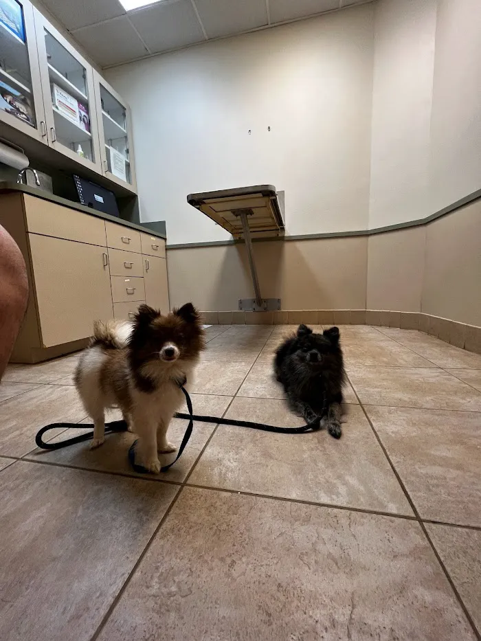 Waterford Lakes Animal Hospital 12