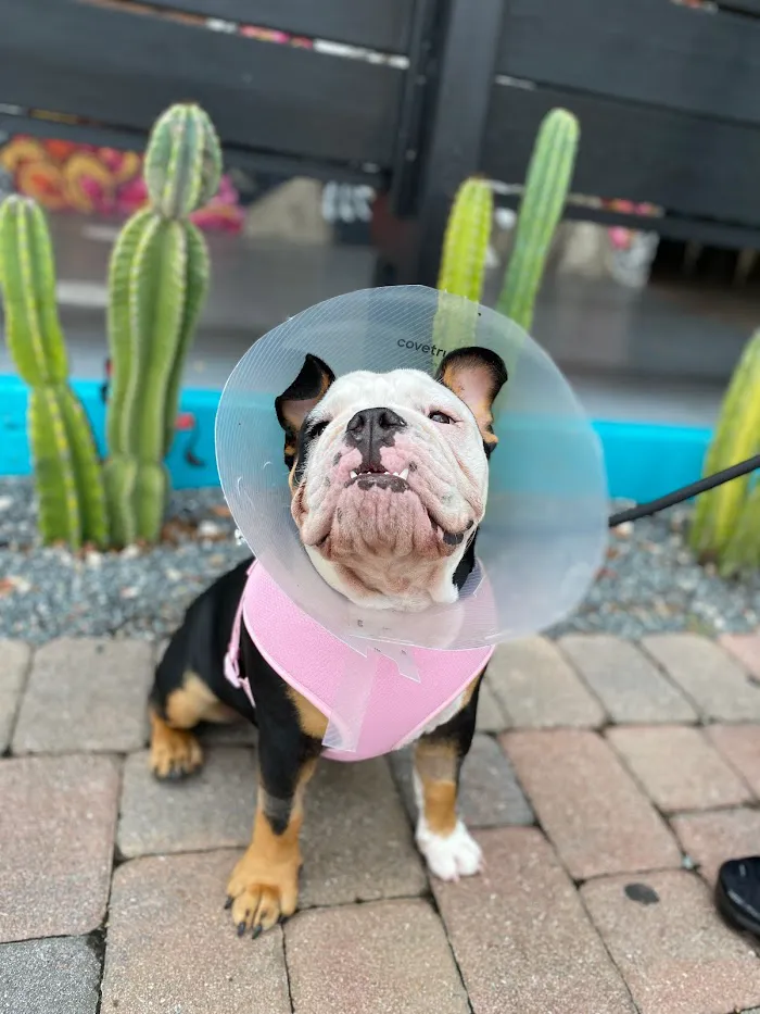 Waterford Lakes Animal Hospital 12