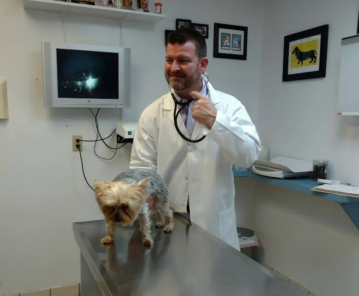 Care Animal Clinic 12