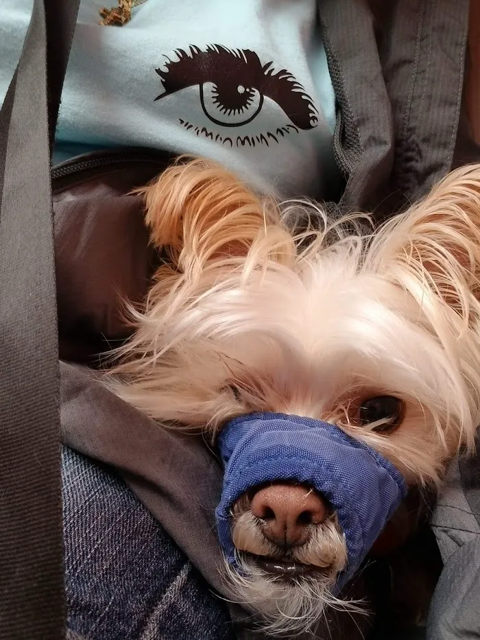 Mayfair Animal Hospital 1