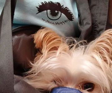 Mayfair Animal Hospital