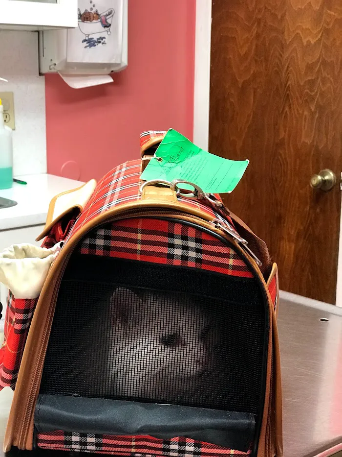 Mayfair Animal Hospital 2