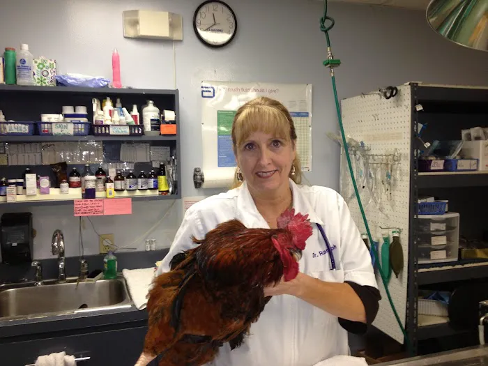 Union Park Animal Hospital and Urgent care 12