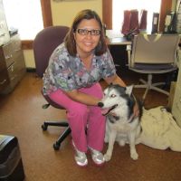 Union Park Animal Hospital and Urgent care ico