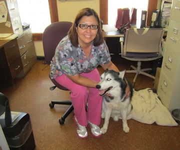 Union Park Animal Hospital and Urgent care