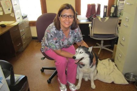 Union Park Animal Hospital and Urgent care