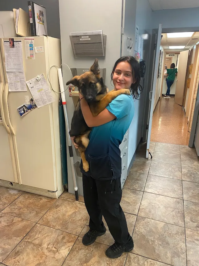 Union Park Animal Hospital and Urgent care 12