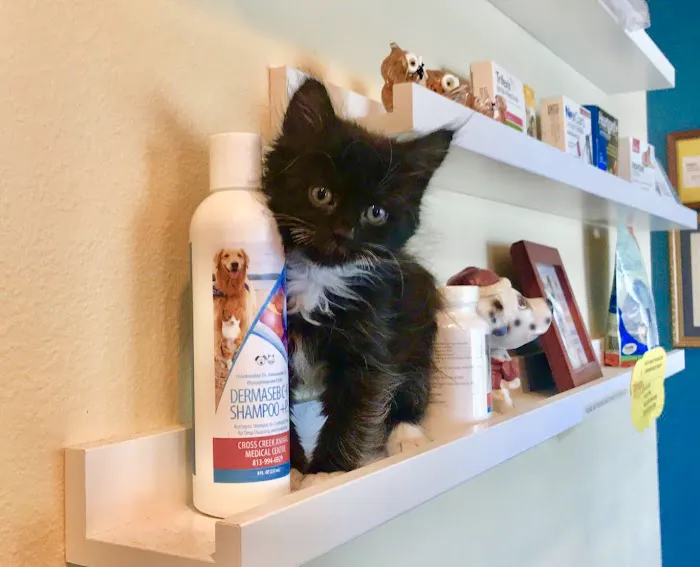 Cross Creek Animal Medical Centre 12