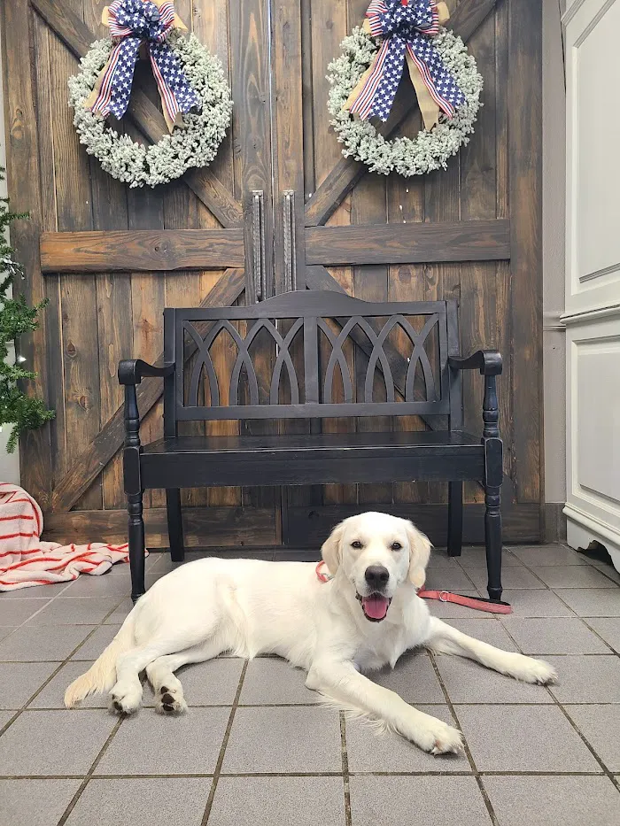 Copper Point Veterinary Hospital 10