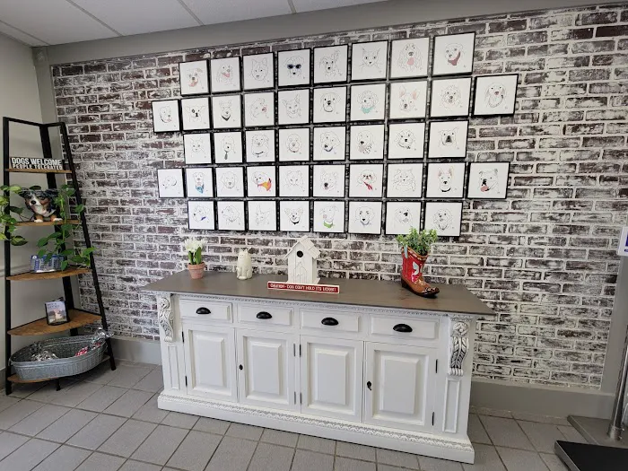 Copper Point Veterinary Hospital 7