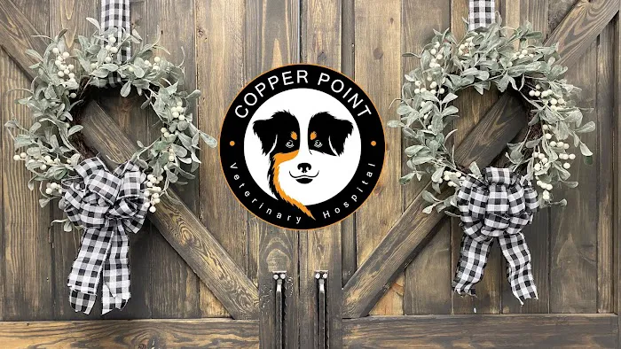 Copper Point Veterinary Hospital 1