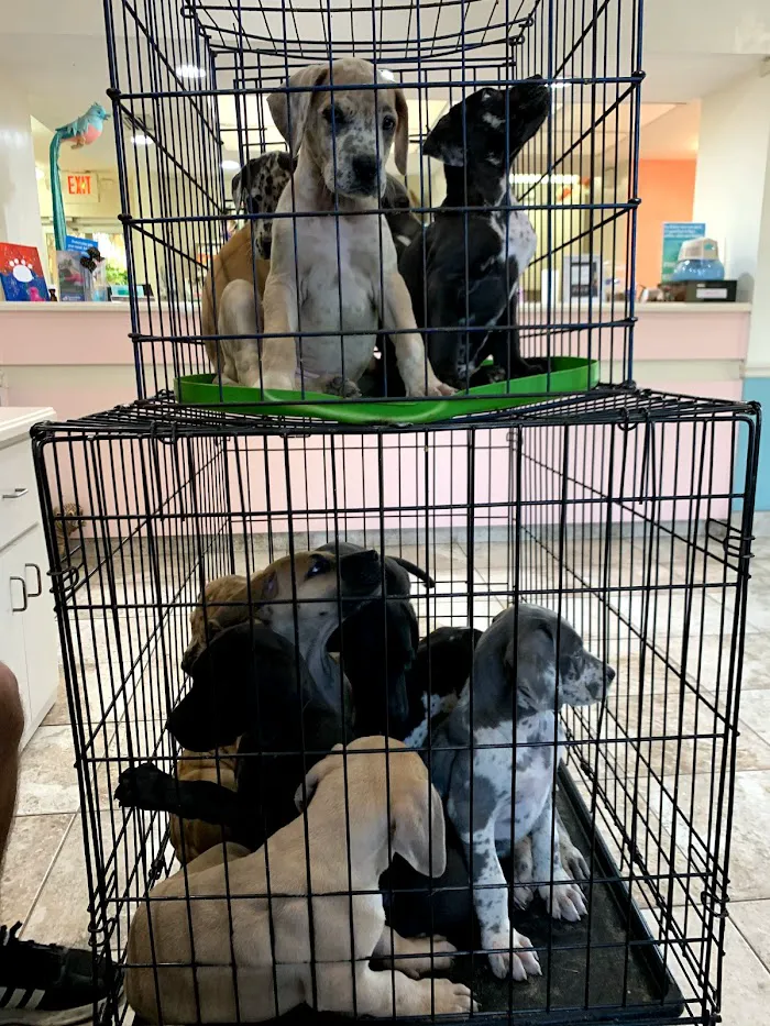 Marcum Road Animal Hospital 12