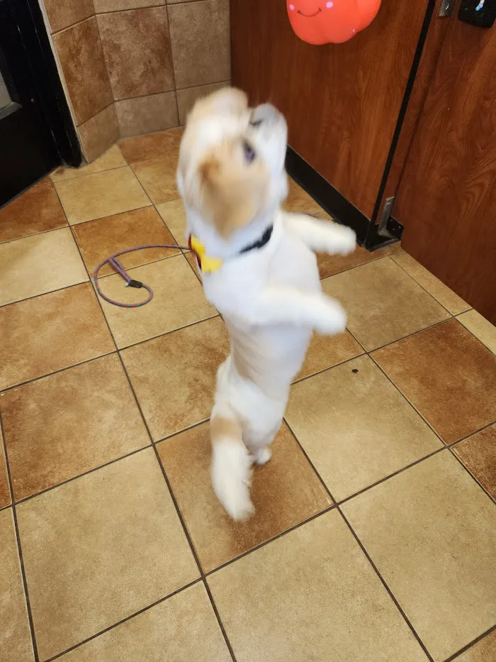 Banfield Pet Hospital 12