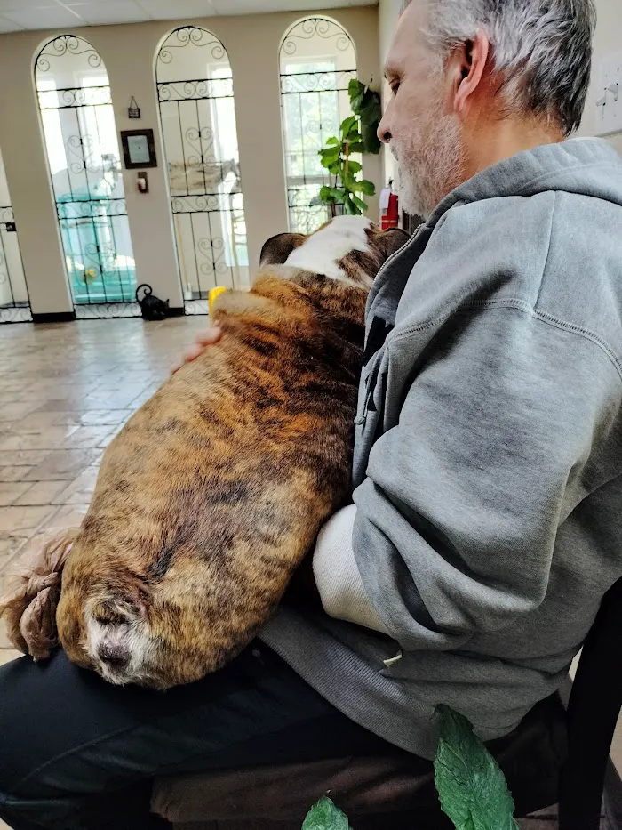Aloma Jancy Animal Hospital 12