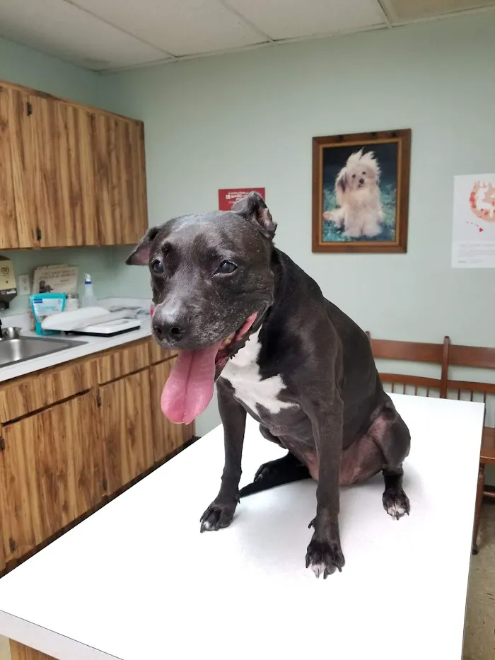 Adkins 301 Pet Hospital LLC 2